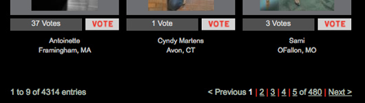 Photo of Vote Button